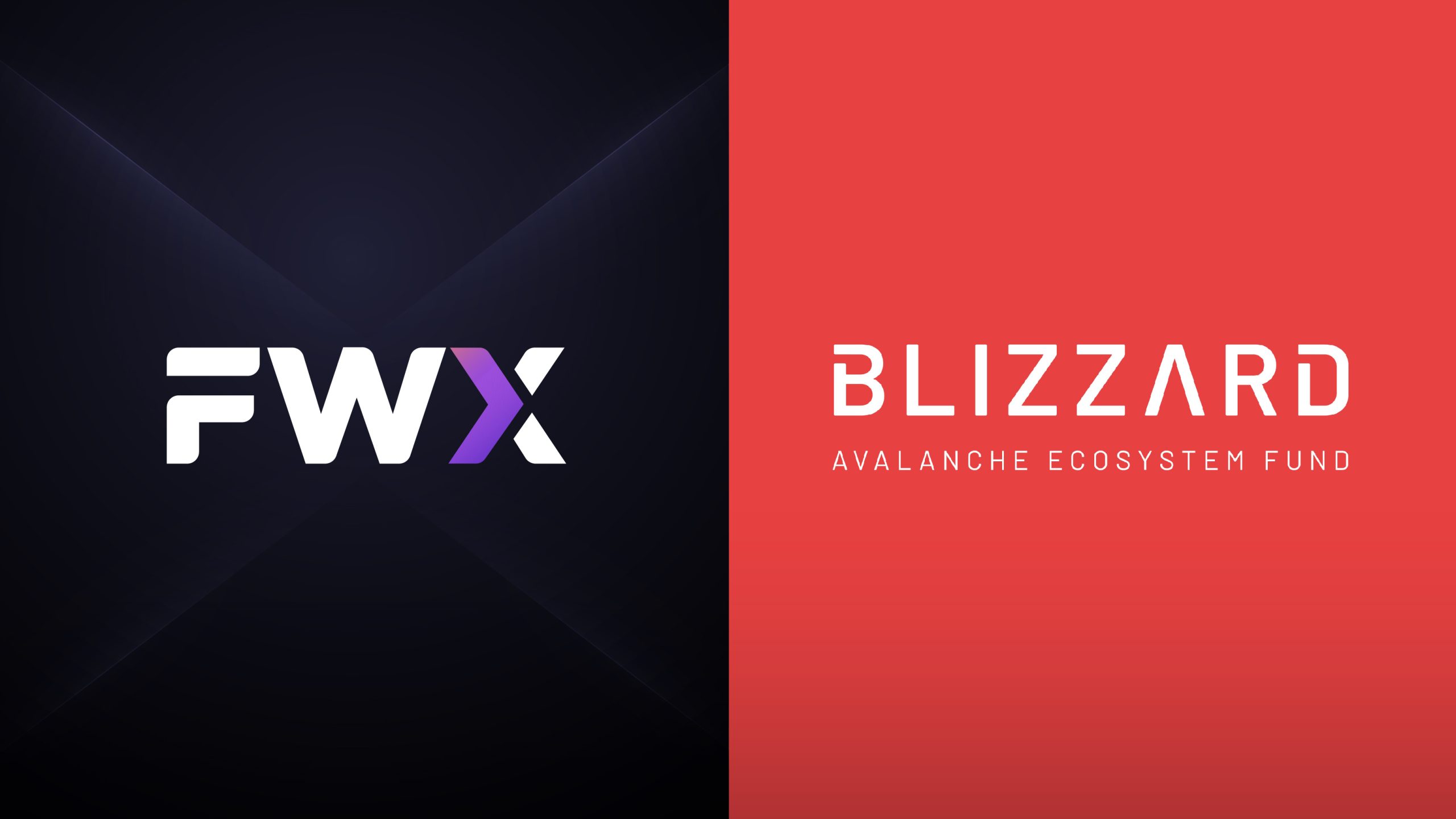 FWX Secures Investment from Blizzard Avalanche Fund